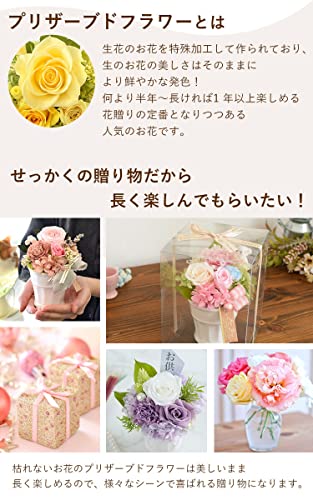 プリザーブドフラワーのおすすめ人気ランキング【2024年】 | マイベスト 
