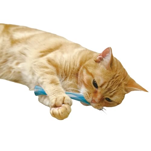 猫ちゃん歯ブラシ かみかみ歯ピカ 4