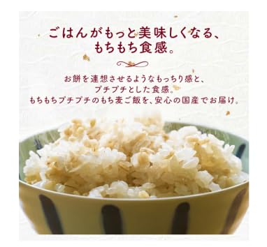 国産もち麦 3