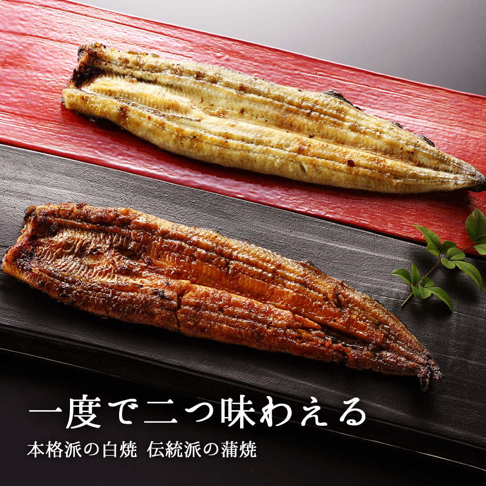 豊橋うなぎ蒲焼き・白焼き 3
