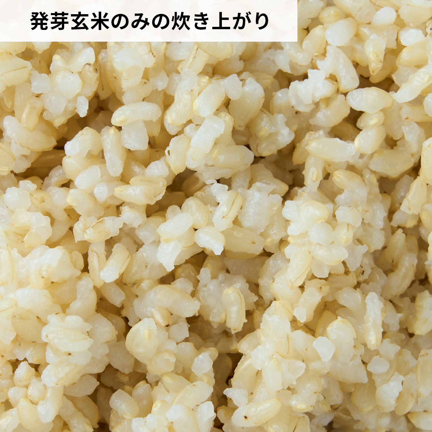 発芽玄米 6