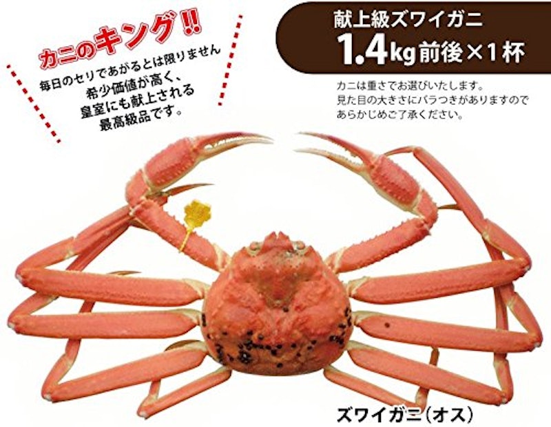 越前がに 3