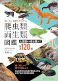 爬虫類図鑑のおすすめ人気ランキング 5