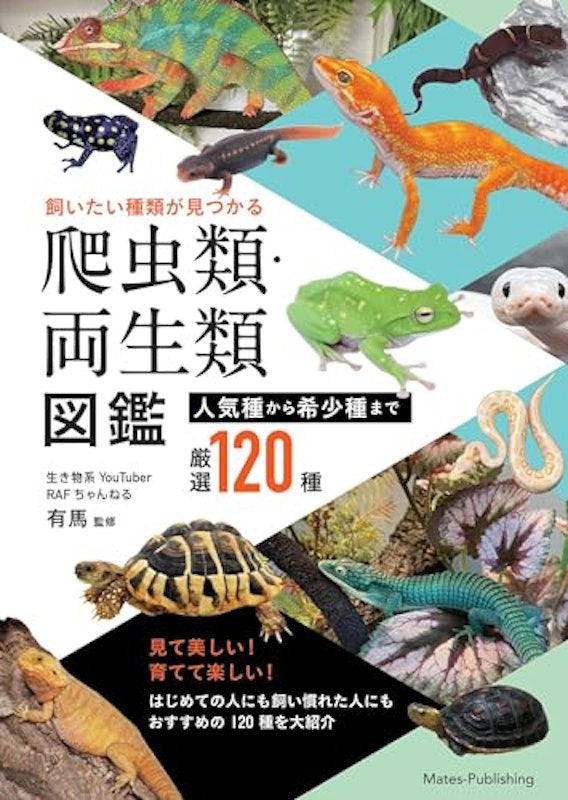 飼いたい種類が見つかる爬虫類・両生類図鑑 1