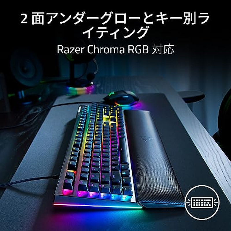 BlackWidow V4 3