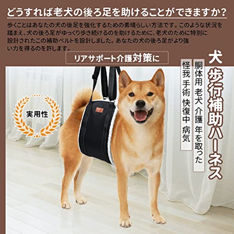 歩行補助ハーネス 2