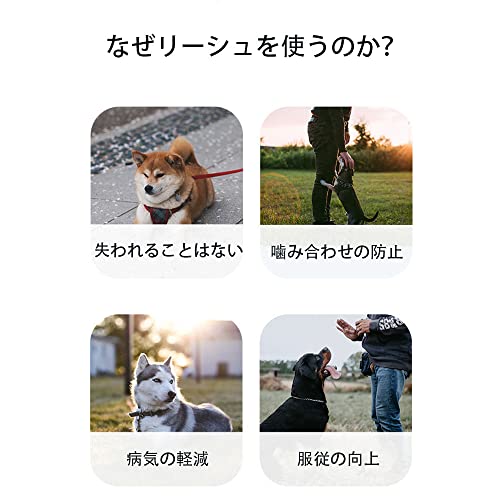 伸縮リード 5