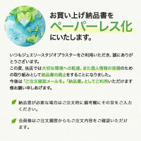 ブレスレット 6