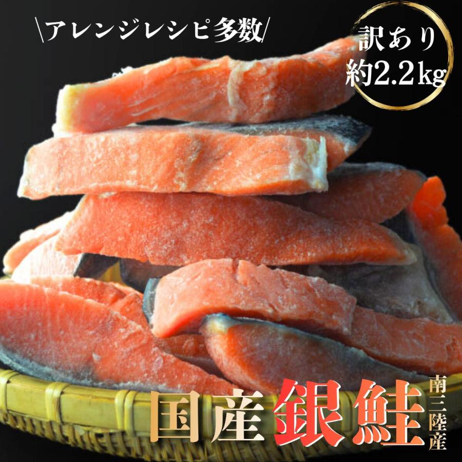 銀鮭 1