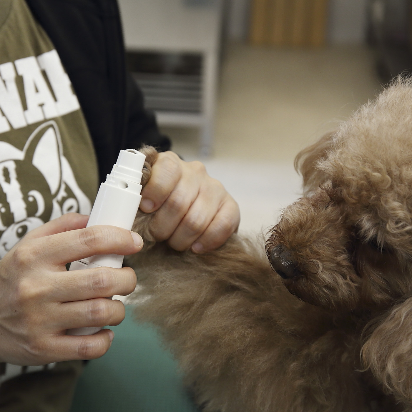 21年 電動犬用爪切りのおすすめ人気ランキング5選 徹底比較 Mybest