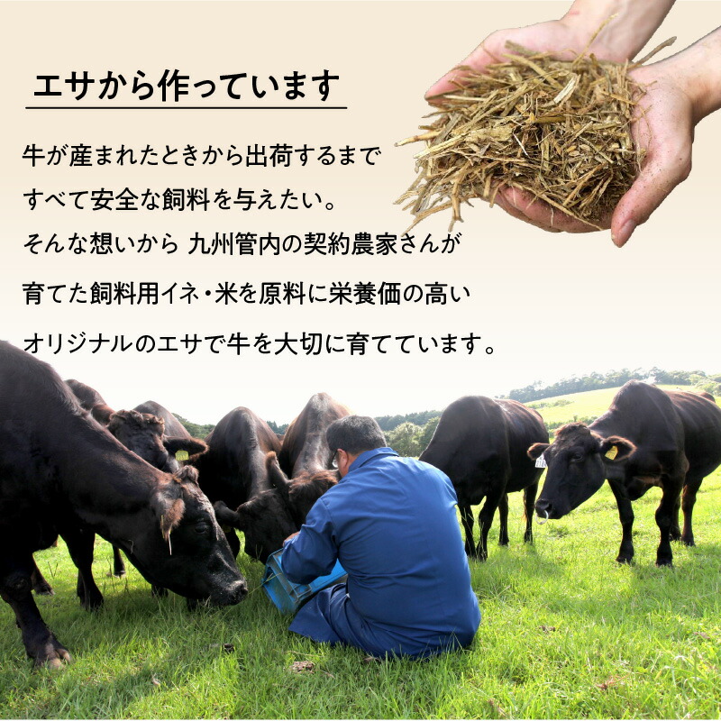  鹿児島県産 黒毛和牛 肩ロース スライス 9
