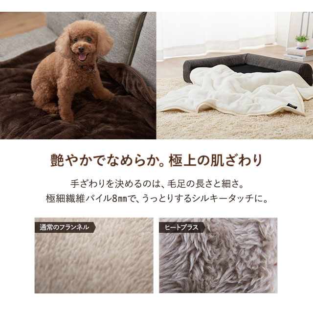 犬用毛布のおすすめ人気ランキング【2026年5月】 | マイベスト