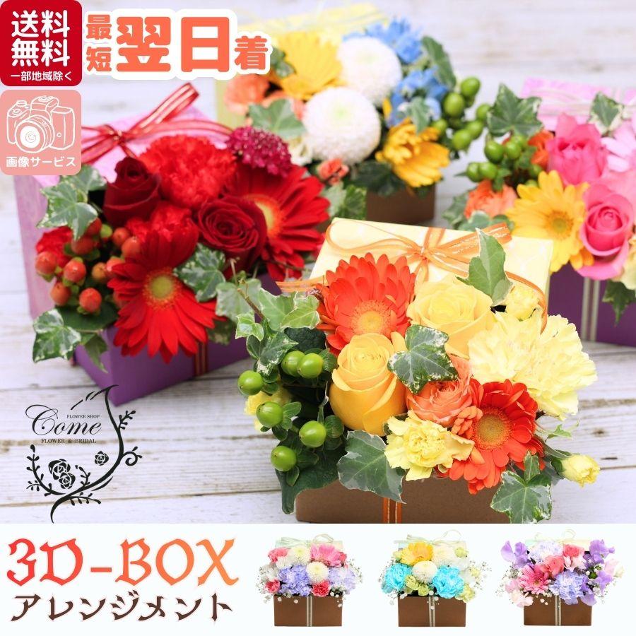 3D-BOX 1