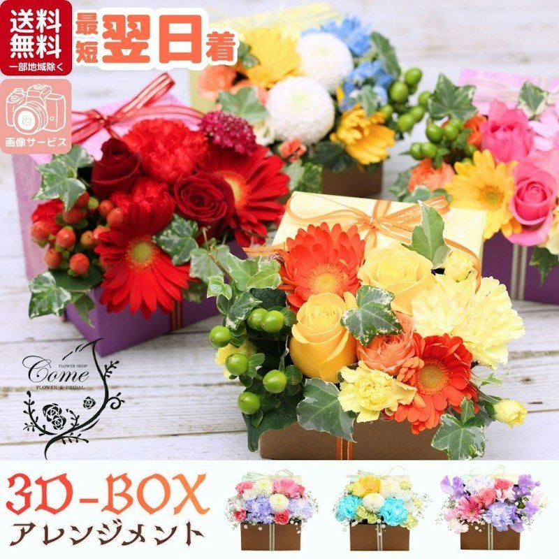 3D-BOX 1