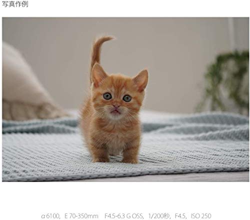 E 70-350mm F4.5-6.3 G OSS 4