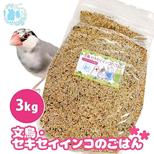 セキセイインコ用シードのおすすめ人気ランキング21選【2024年】 | mybest