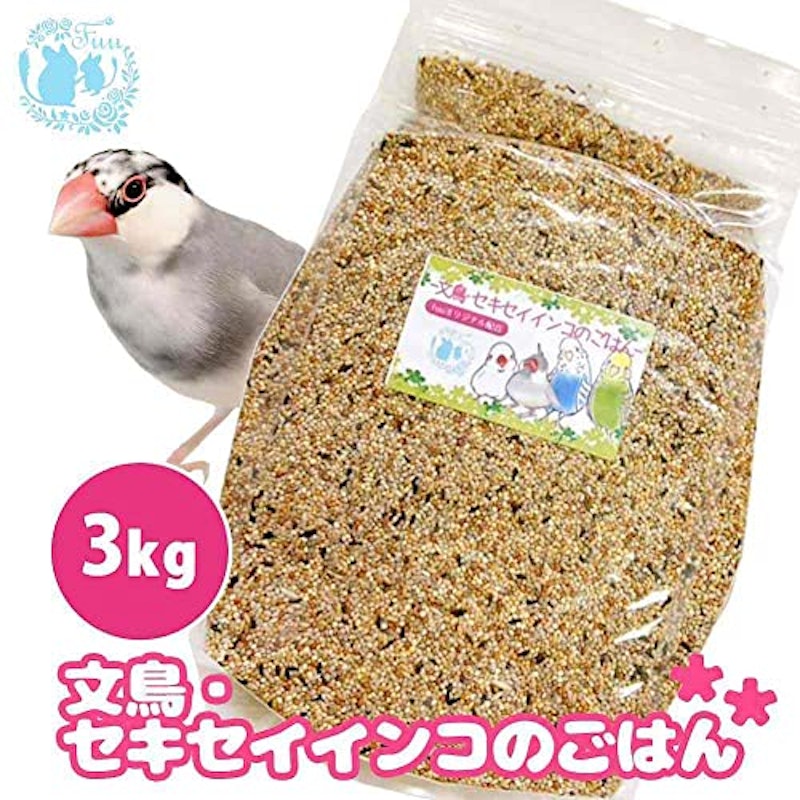 文鳥・セキセイインコのごはん 2