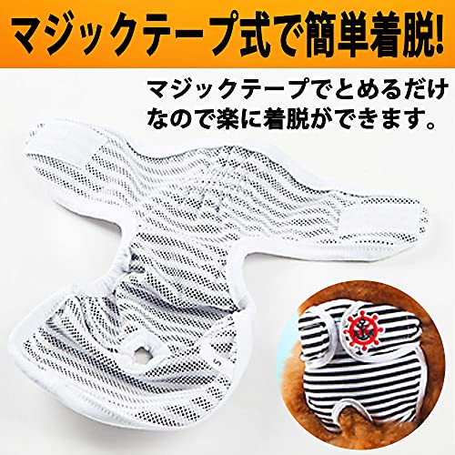 ペット用マナーパンツ 2