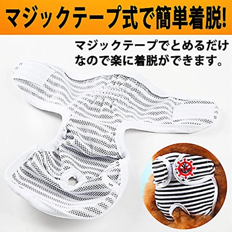 ペット用マナーパンツ 2