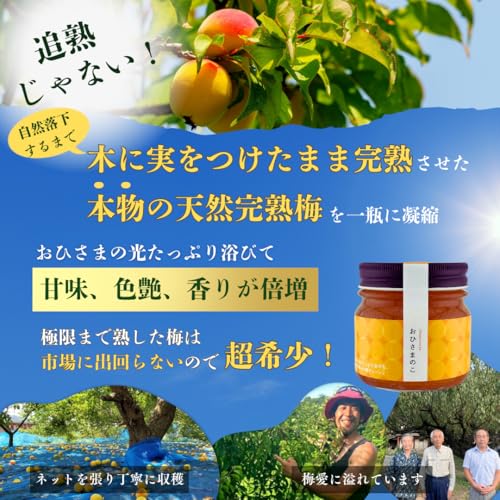 おひさまのこ 梅のピューレ 3
