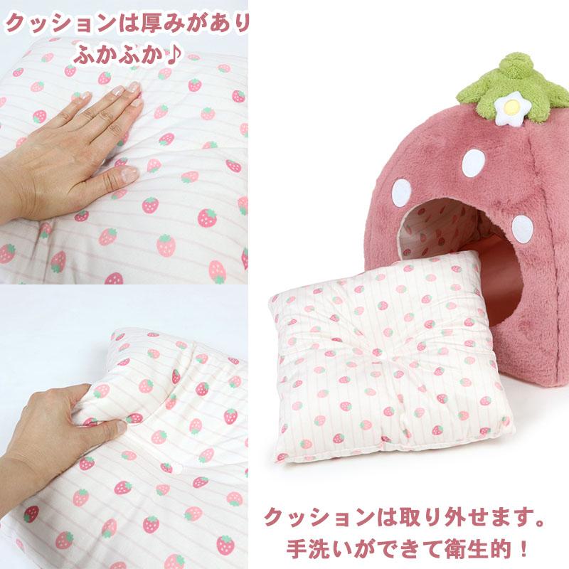 くすみ苺 ハウス 4