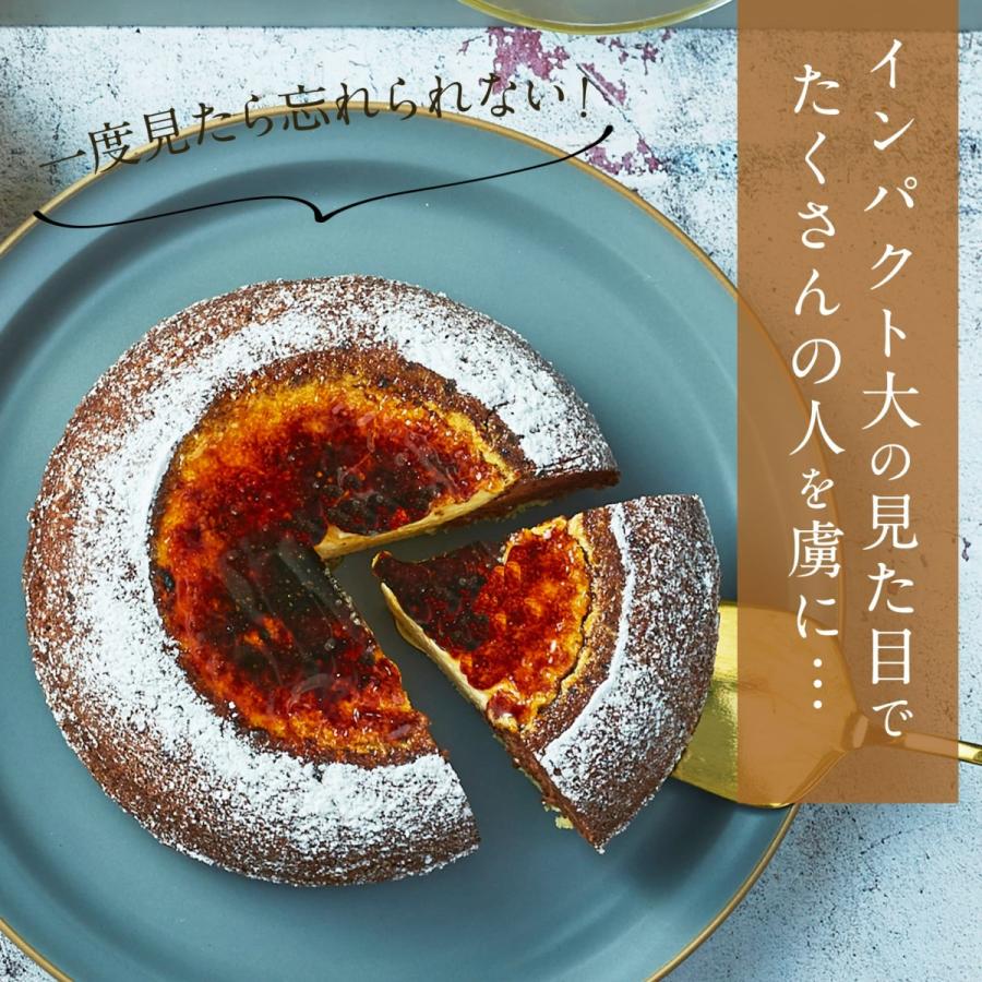 天空のチーズケーキ ショコラ 3