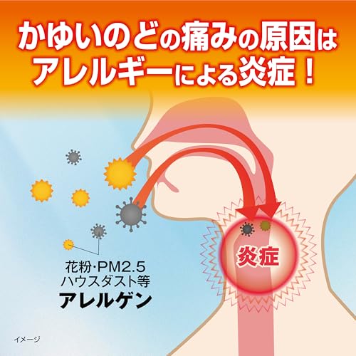 カユノード  3