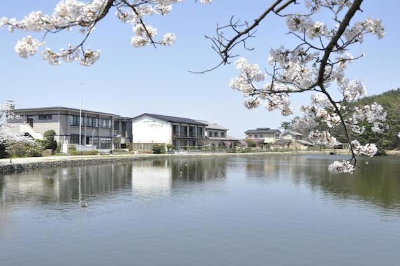 白鳥の宿 割烹旅館 ますがた荘 4