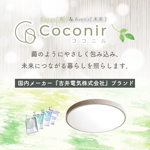ナチュラルシーリングライト 2