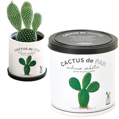 CACTUS de CACTUS 1