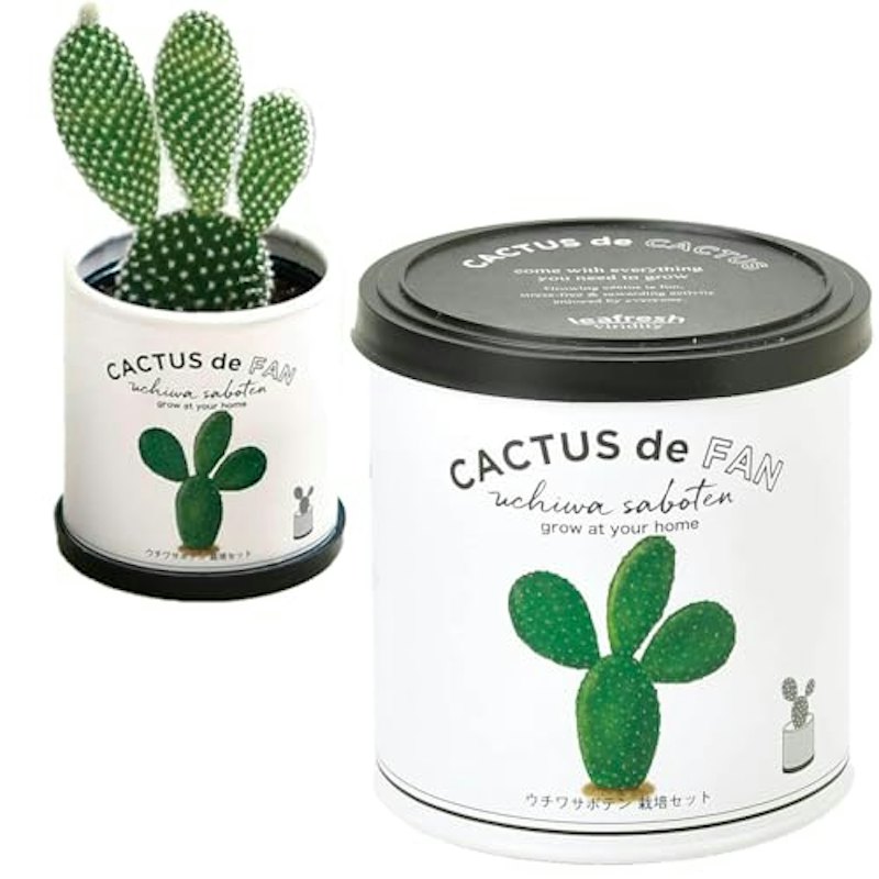 CACTUS de CACTUS 1