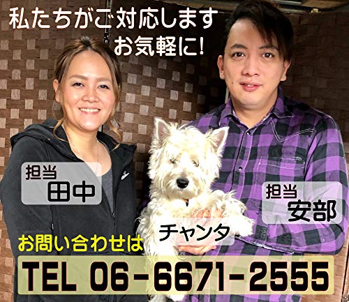 馬肉生地ミニお誕生日ホールケーキ 6