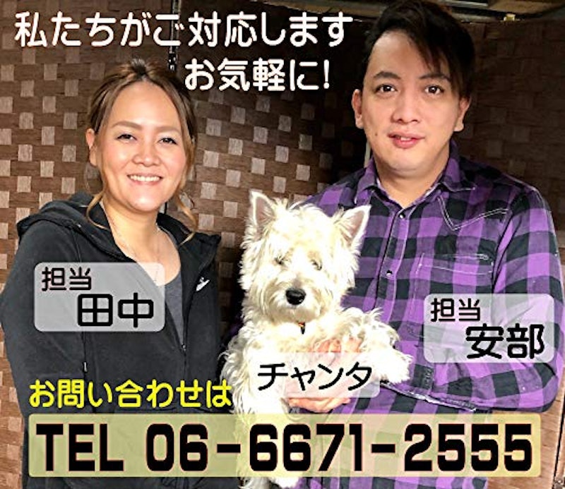 馬肉生地ミニお誕生日ホールケーキ 6