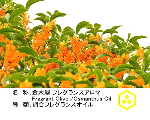 金木犀アロマオイル 2