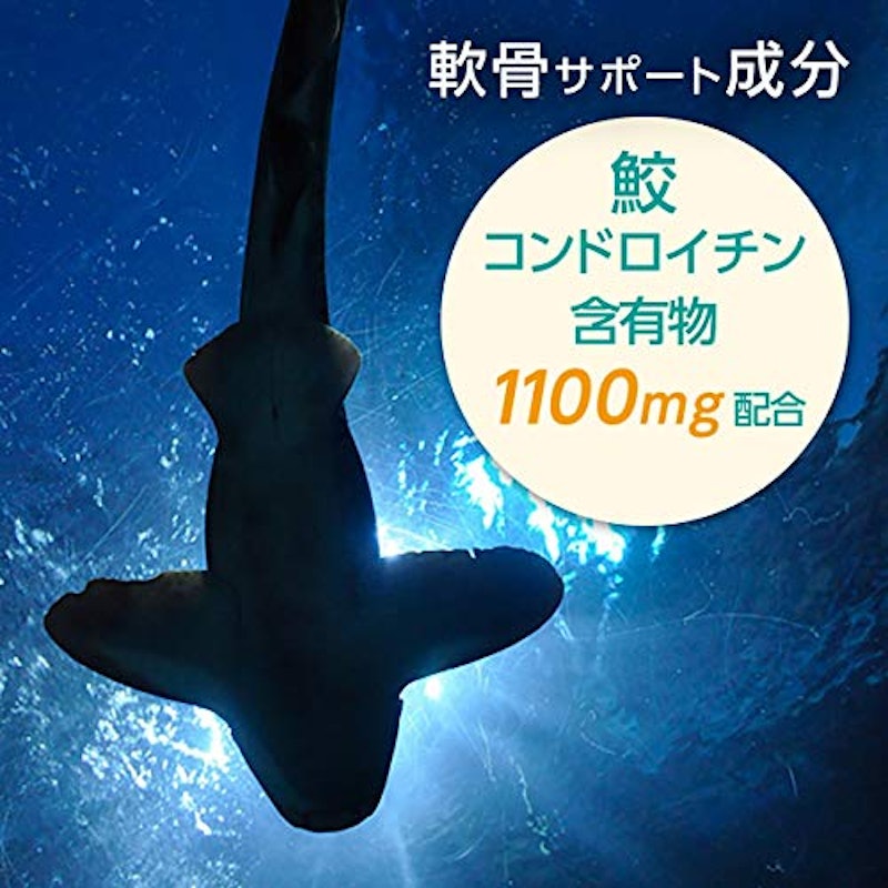 コンドロイチン&グルコサミン ふしぶしの恵 4