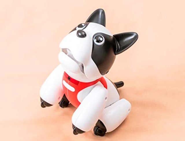ペット型ロボットのおすすめ人気ランキング8選 癒される Mybest ペット型ロボットのおすすめ人気ランキング8選 癒される Mybest