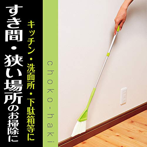 チョコ掃きホーキチリトリ付 6