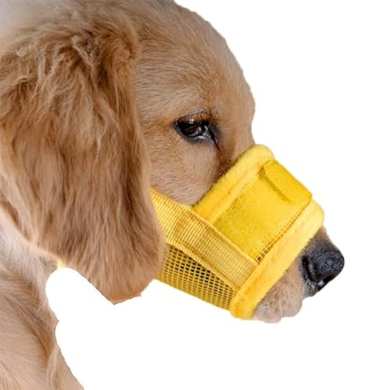 犬の口輪 1