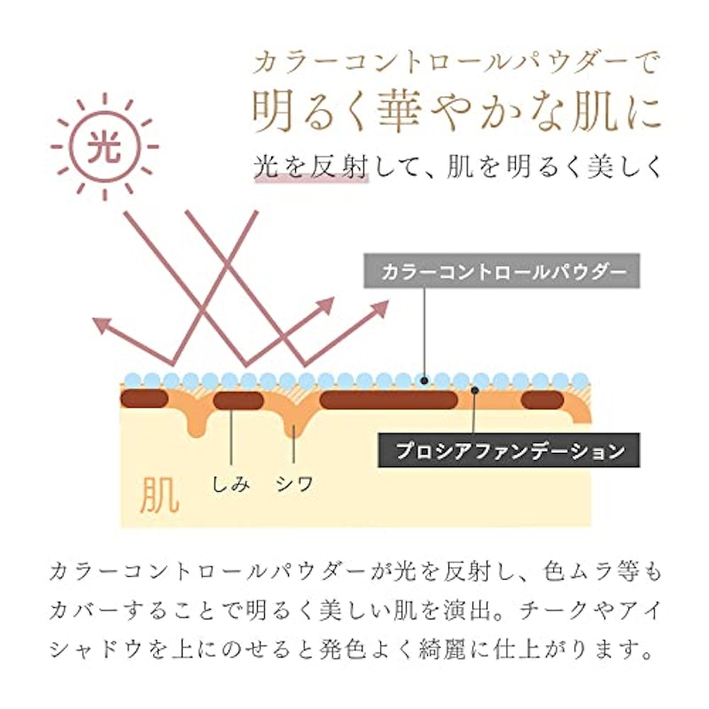 プロシアファンデーション 6