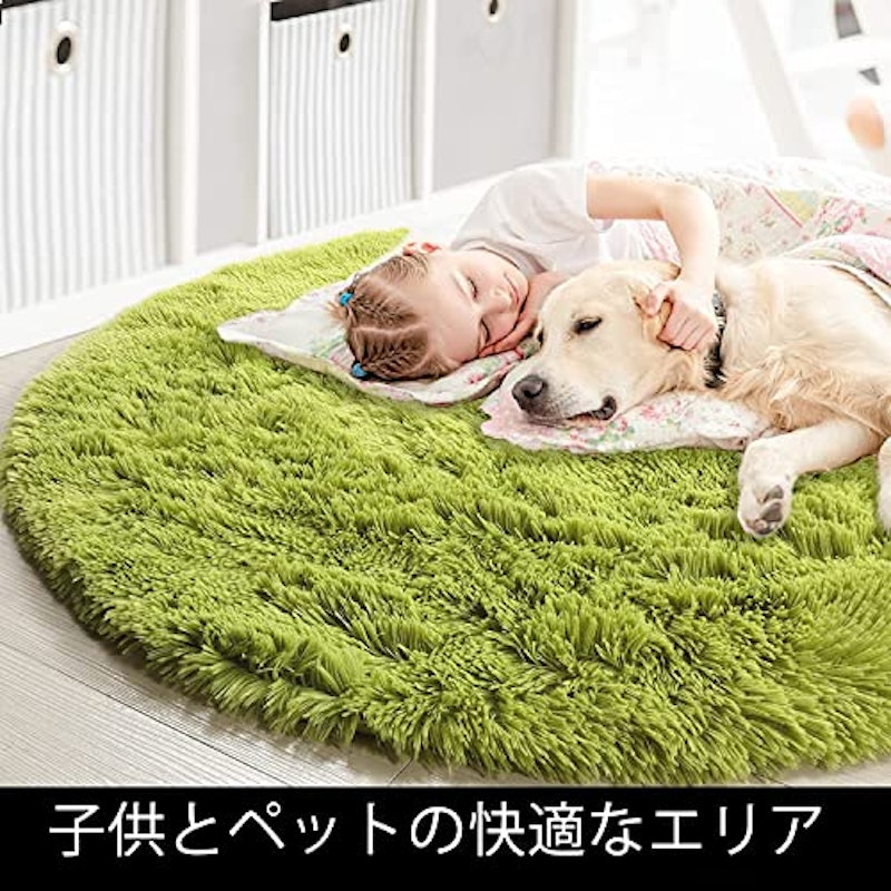 シャギーラグ 5