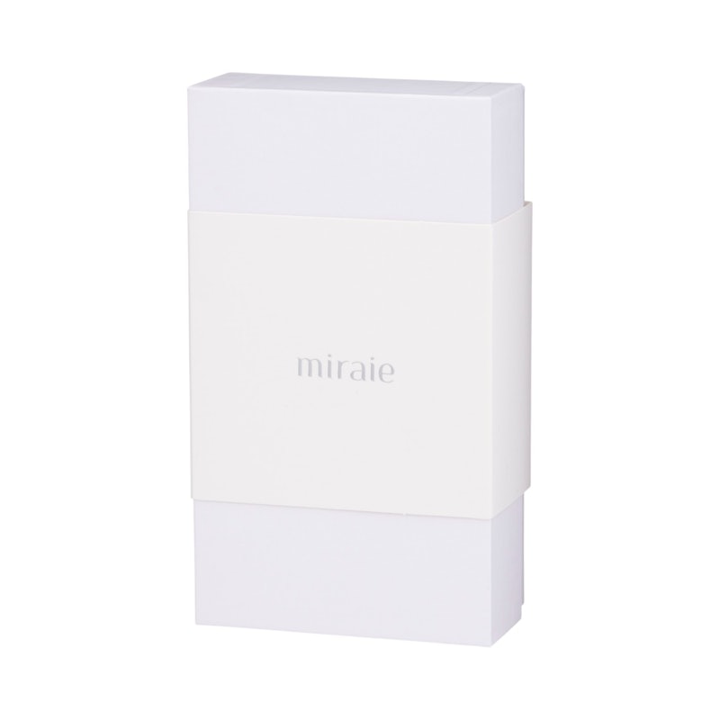 マイクロカレントビューティーローラー 4