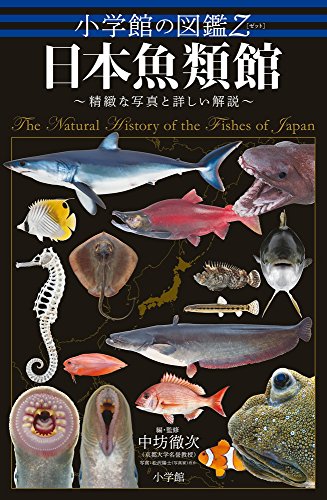 魚図鑑のおすすめ人気ランキング【2024年】 | マイベスト