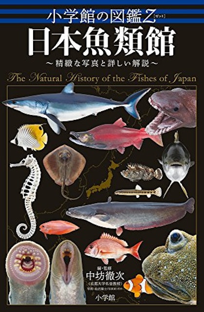 21年 魚図鑑のおすすめ人気ランキング15選 Mybest 21年 魚図鑑のおすすめ人気ランキング15選 Mybest