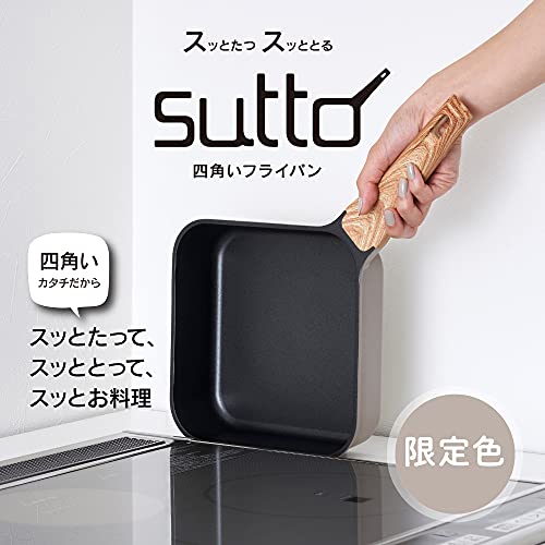 スマートフライパン 20cm 2