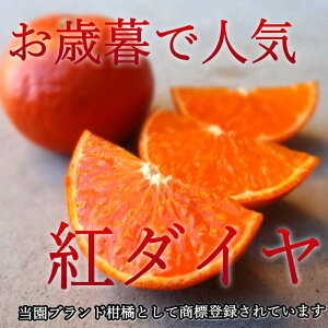 お蜜柑屋店長の厳選プレミアムギフト-極み-　三種詰め合わせ 3