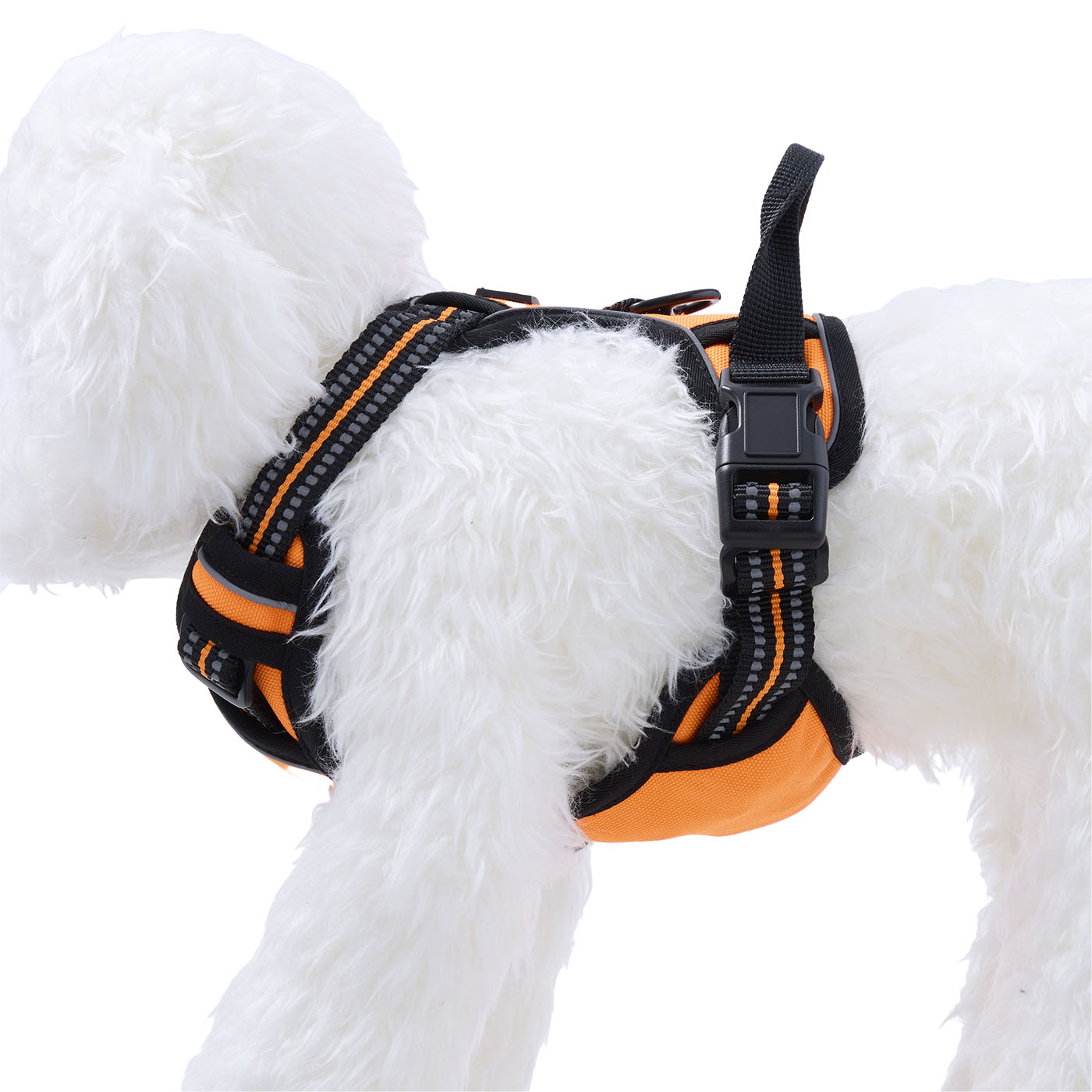 犬用ハーネス 5