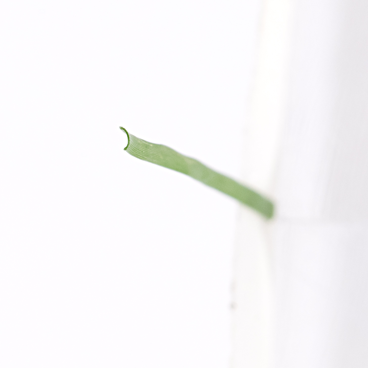 人工芝 7