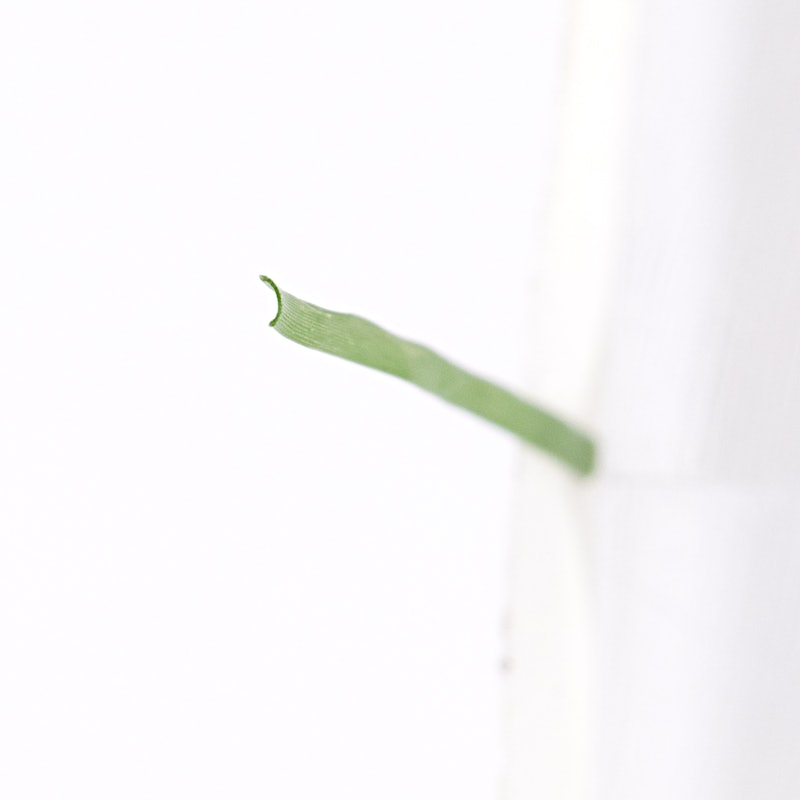 人工芝 7