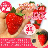 完熟まりひめ 超大粒 3