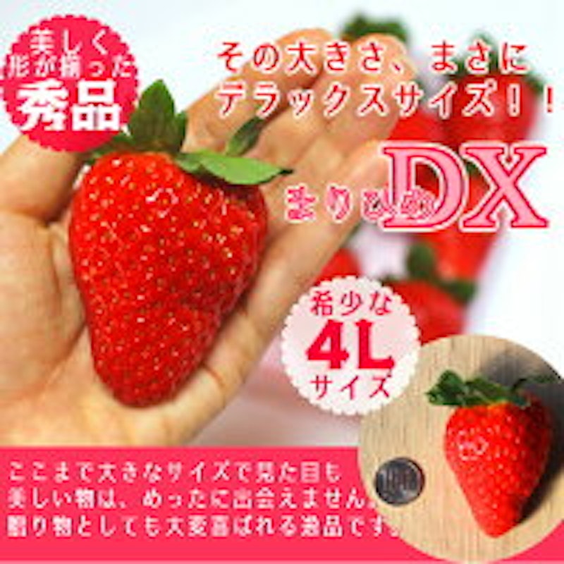 完熟まりひめ 超大粒 3